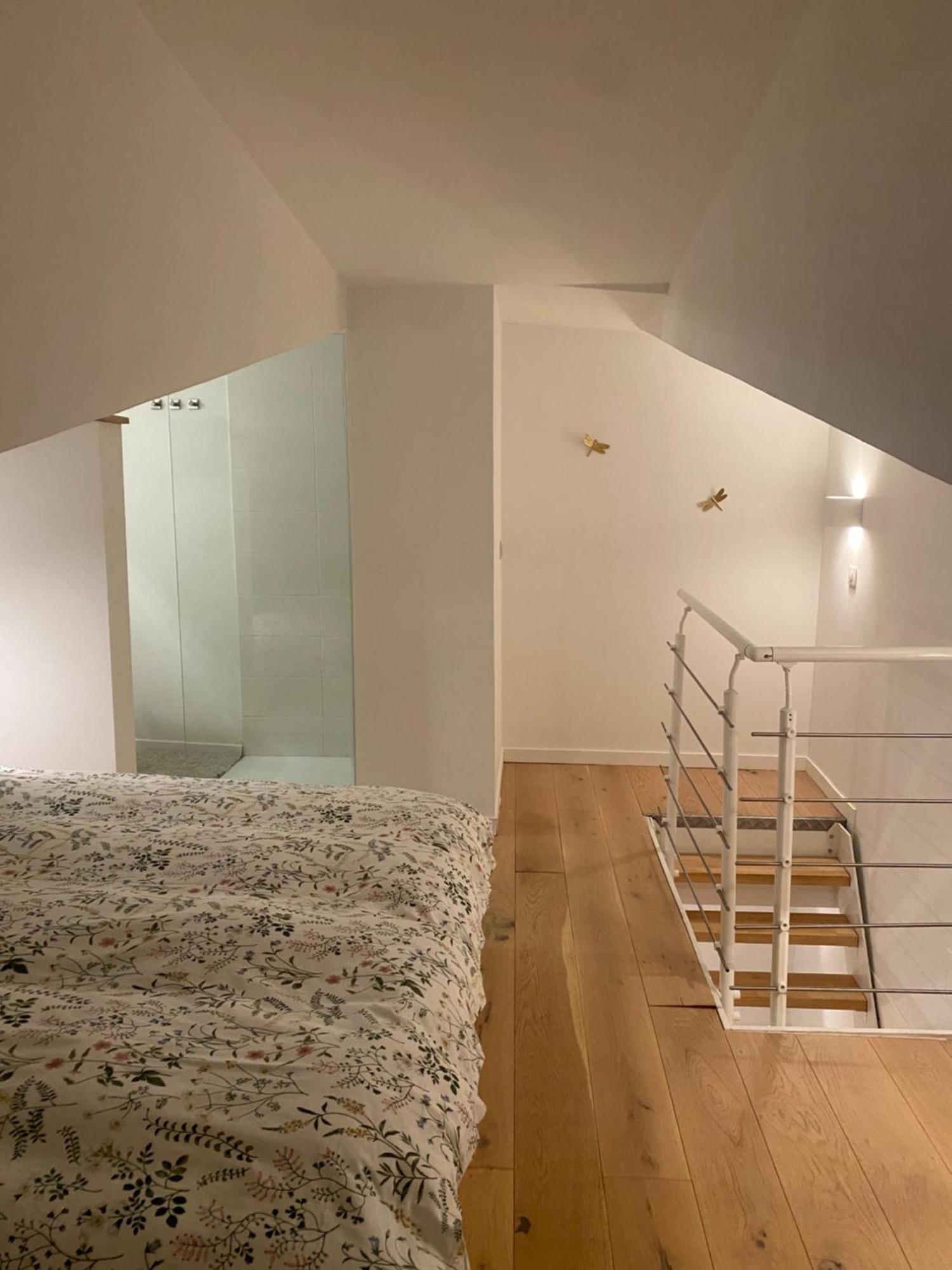 Duplex Aux Carmes Apartment Toulouse Ngoại thất bức ảnh